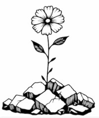 Line drawing of a flower sprouting out of a pile of rocks.